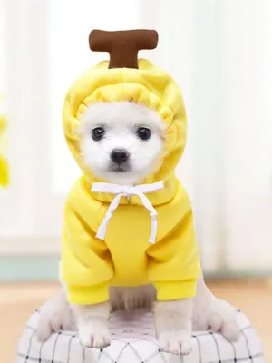 Adorable Banana Dog Halloween Costume