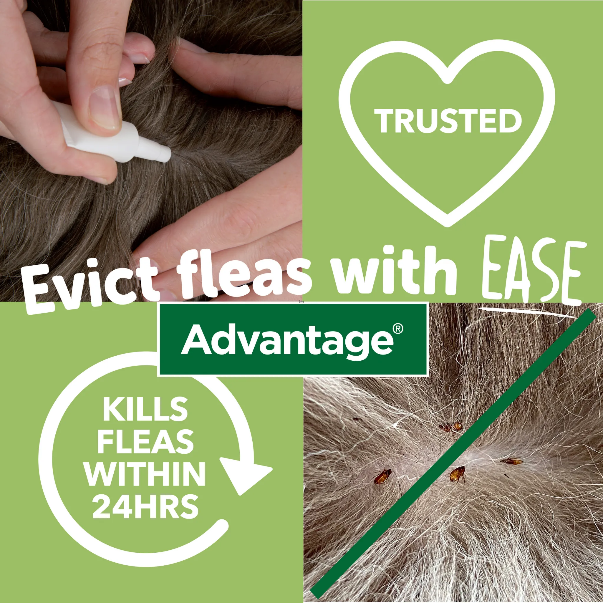 Advantage 400, 4 Week Spot-On Flea Treatment For Large Dogs - 25-40kg - 4 Pipettes