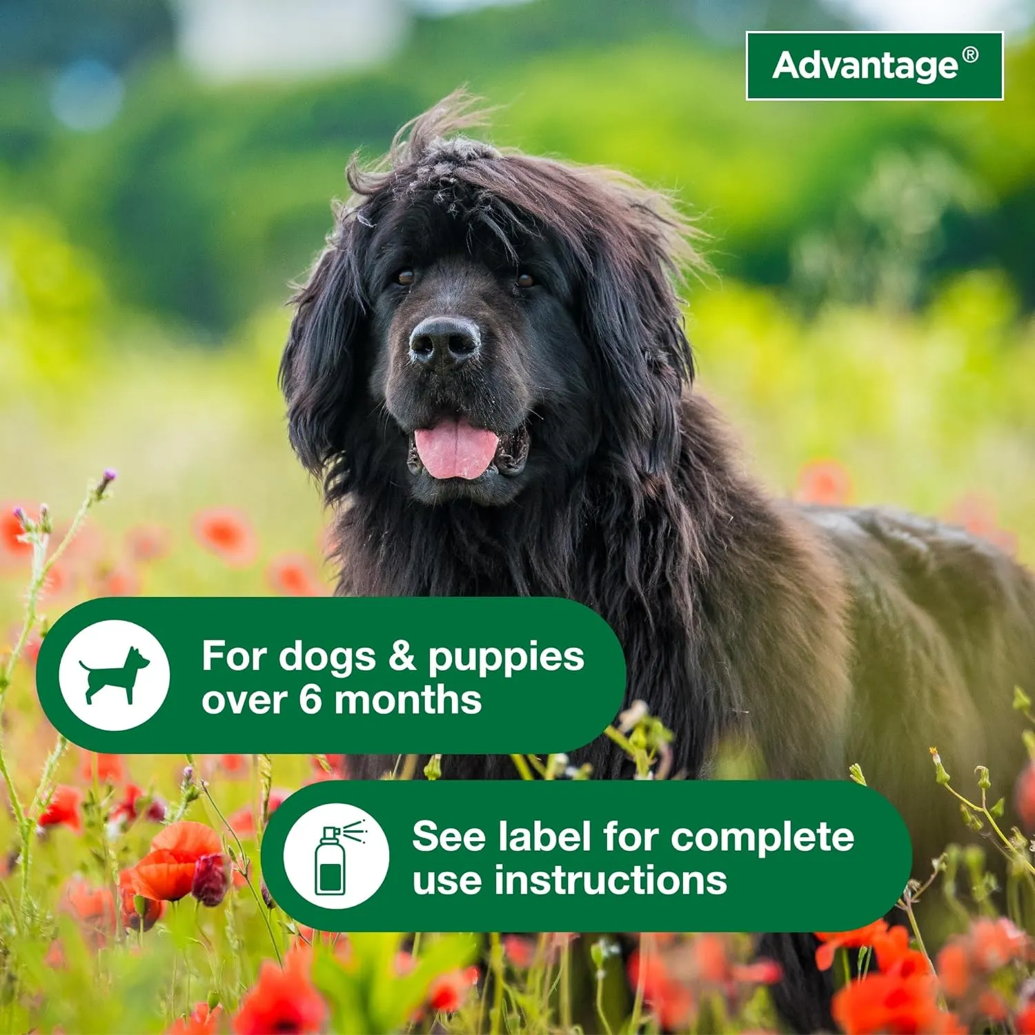 Advantage Topical & Indoor Flea & Tick Spray for Dogs / Puppies
