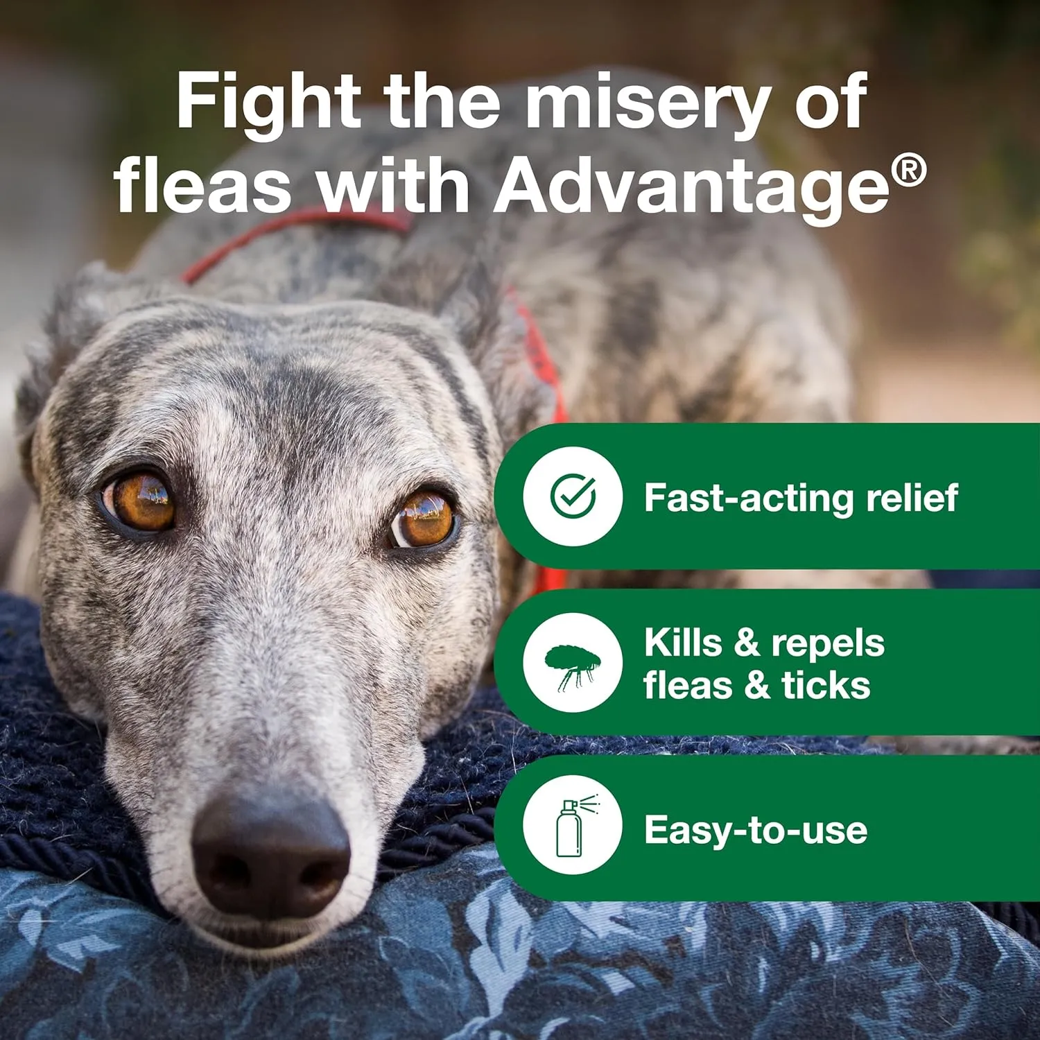 Advantage Topical & Indoor Flea & Tick Spray for Dogs / Puppies