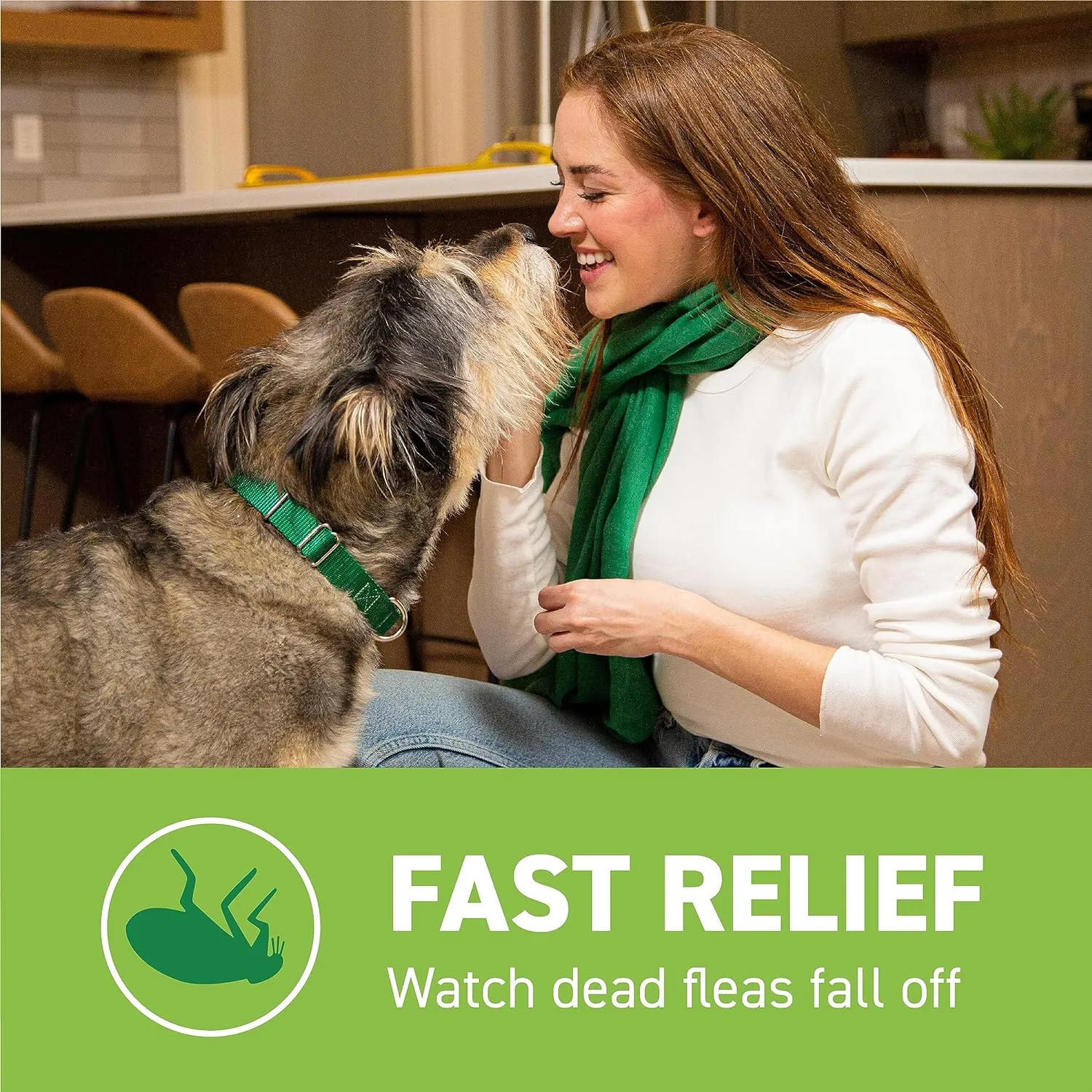 Capstar Flea Treatment for Dogs (25Lb Up)