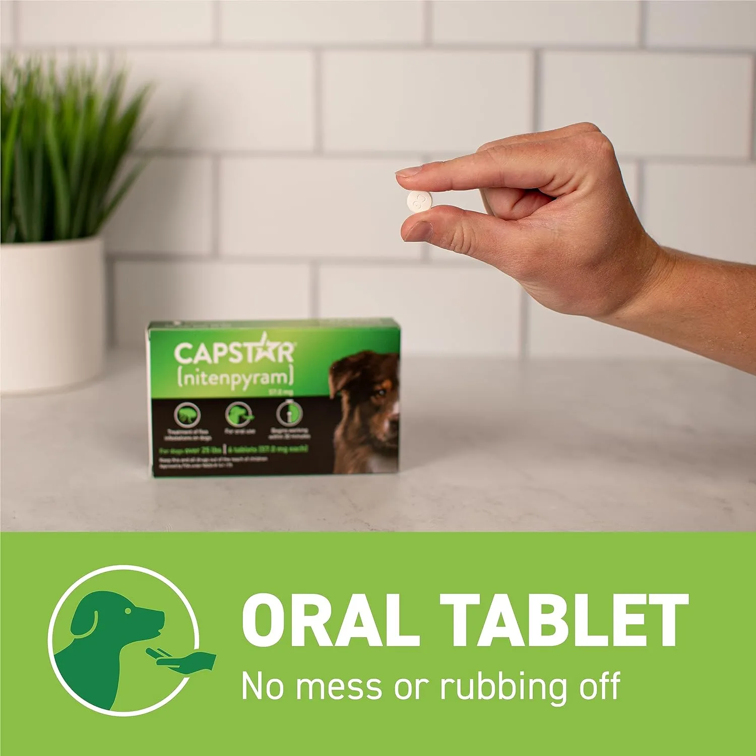 Capstar Flea Treatment for Dogs (25Lb Up)