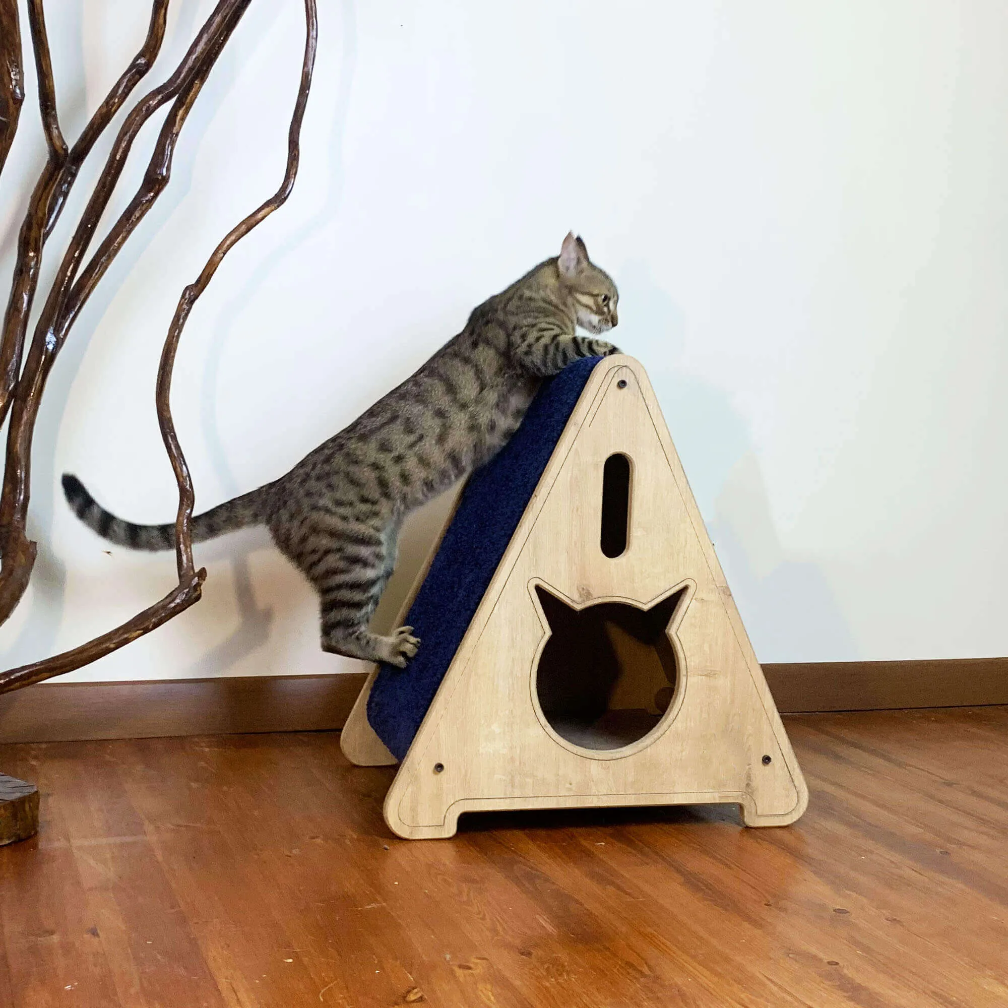 Cat Paw Teepee Scratcher