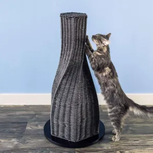 Cat scratch |  Everlasting