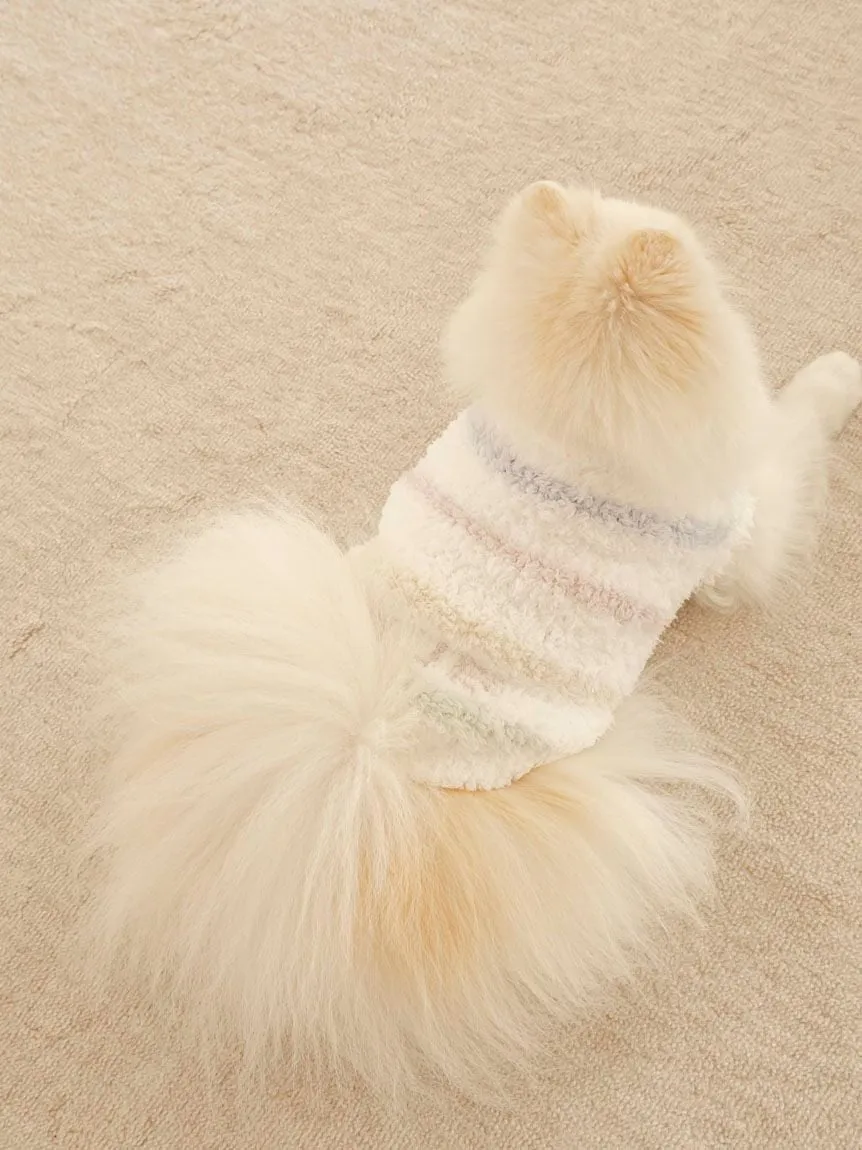 [CAT&DOG] Gelato Colorful Border Pet Clothes