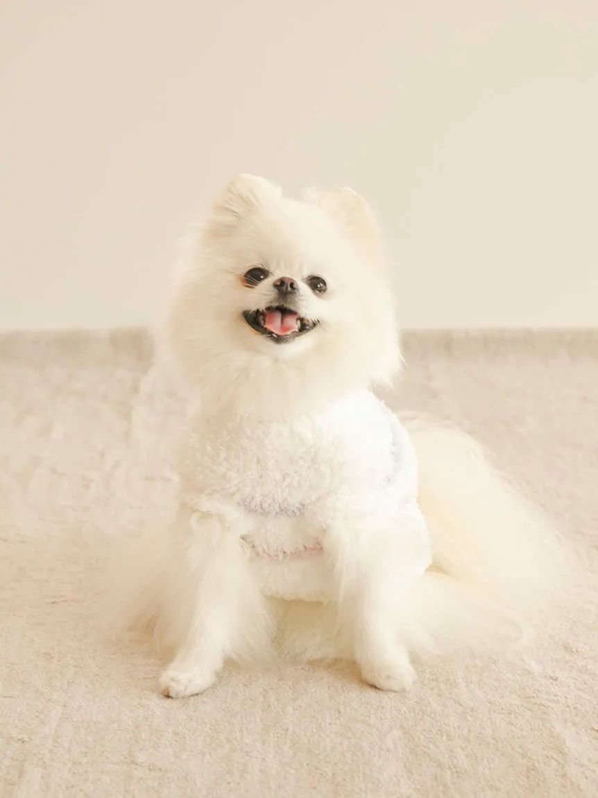[CAT&DOG] Gelato Colorful Border Pet Clothes