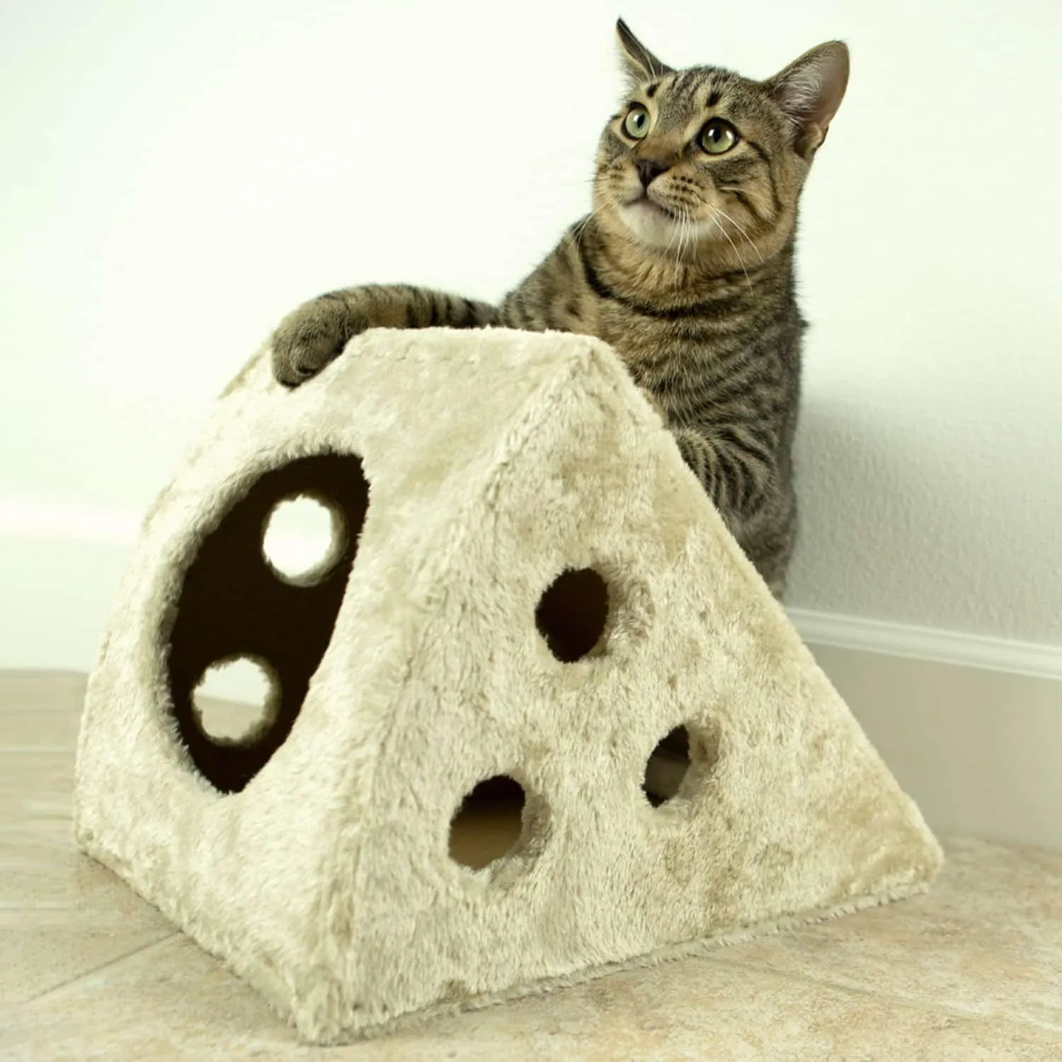 Cheese Wedge Scratcher