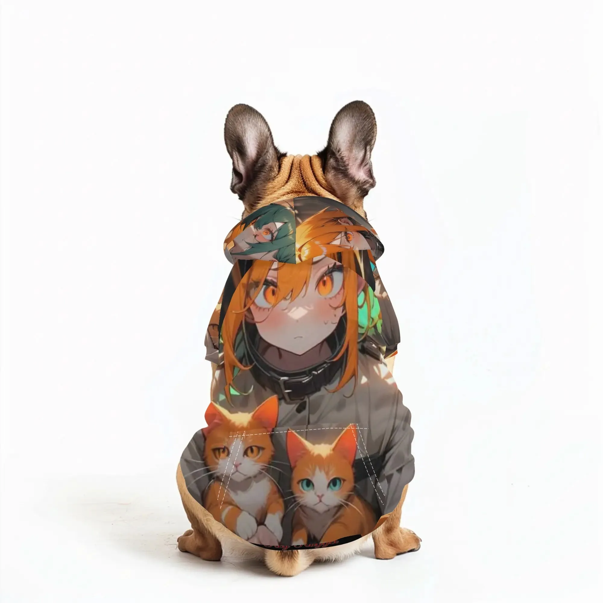 Crazy Cat Lady Pet Pullover Hoodie