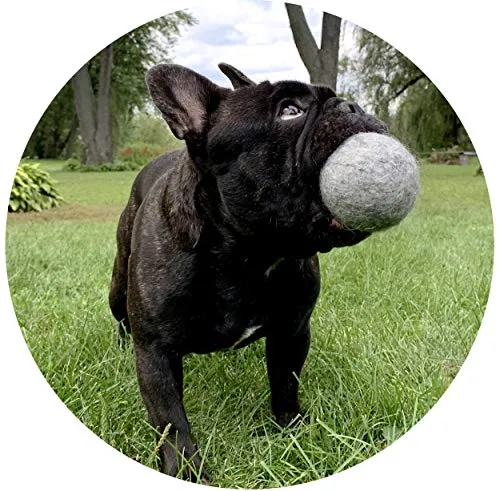 Creature ECO 100% Organic Wool Dog Balls 2-Pack - All Natural Soft Large Dog Ball- Eco Friendly Wooly Dog Toy - Safe for Your Pet & The Planet