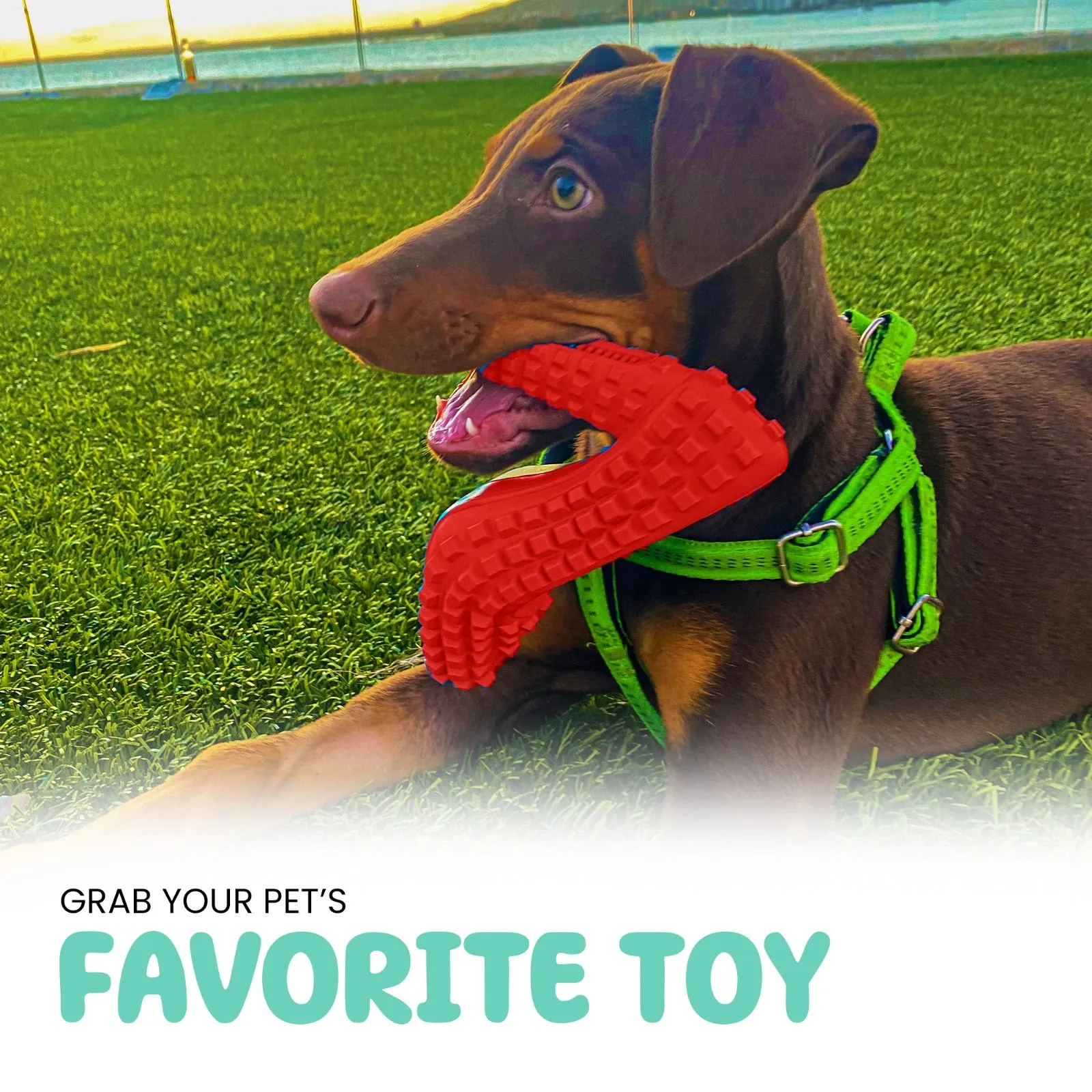 Dog Chew Toys for Aggressive Chewers - Treat Dispensing Chew Shoe Interactive Small Medium Dog Puzzle Toys