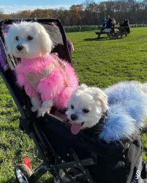 Elegance Meets Warmth: Luxury Dog Sweater - Designer Pet Clothes for Winter Chic, Perfect for Small Dogs, Cats, and Fashionable Fur Coats for Schnauzers, Yorkies, Poodles