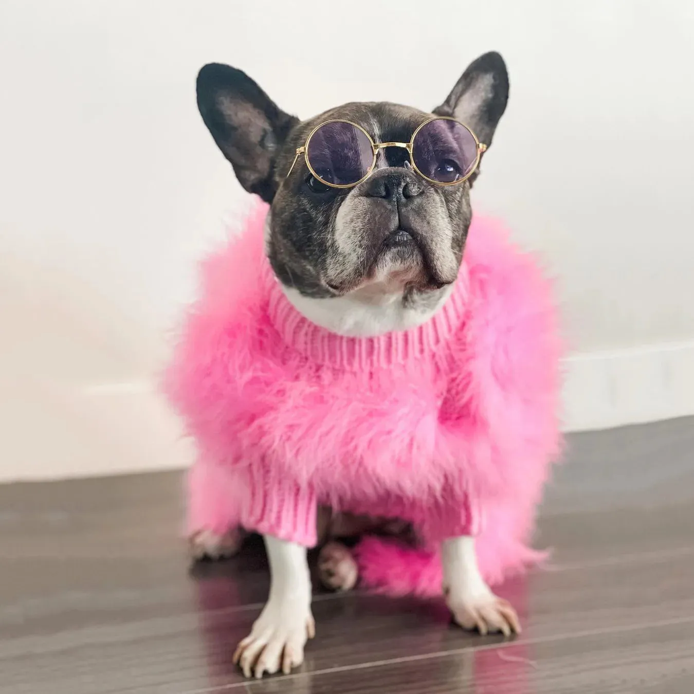 Elegance Meets Warmth: Luxury Dog Sweater - Designer Pet Clothes for Winter Chic, Perfect for Small Dogs, Cats, and Fashionable Fur Coats for Schnauzers, Yorkies, Poodles