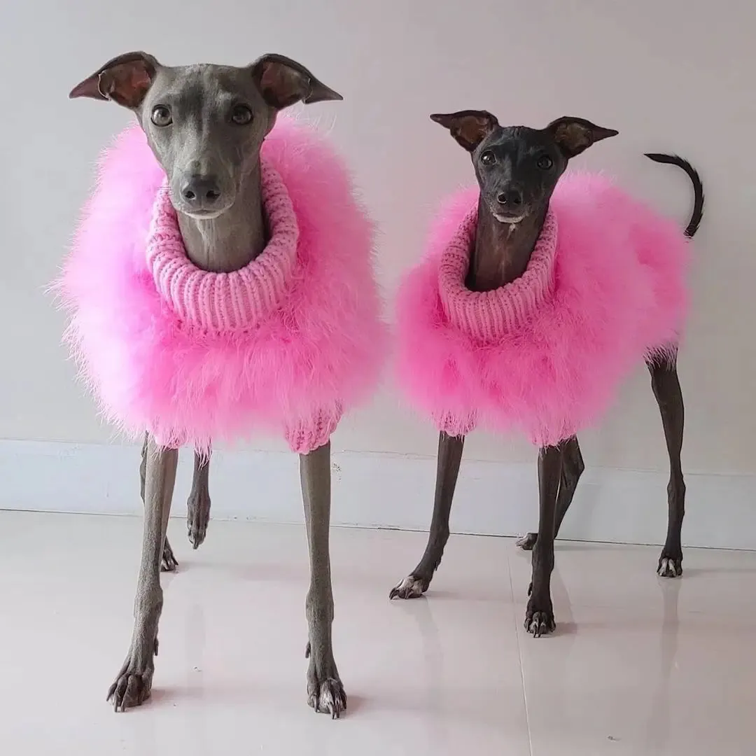 Elegance Meets Warmth: Luxury Dog Sweater - Designer Pet Clothes for Winter Chic, Perfect for Small Dogs, Cats, and Fashionable Fur Coats for Schnauzers, Yorkies, Poodles