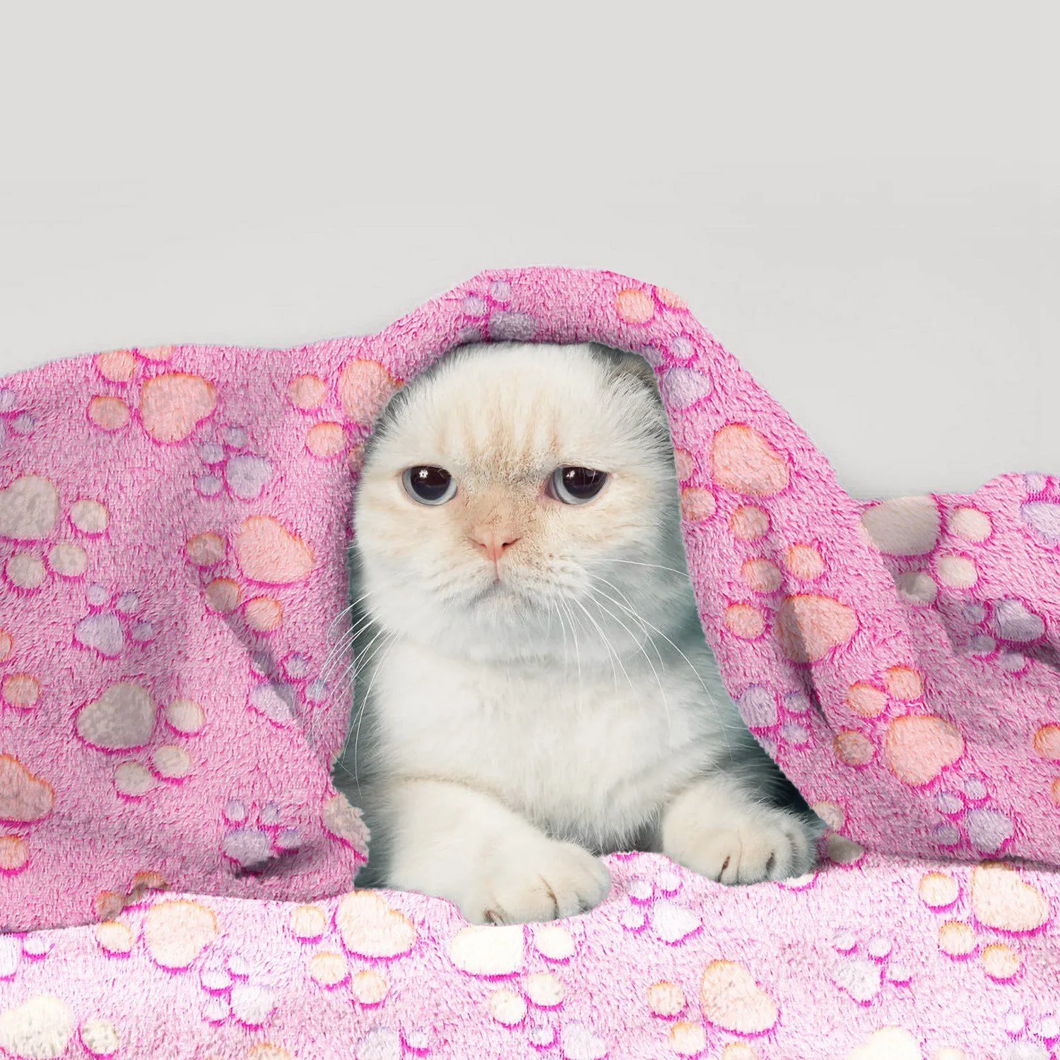 Fluffy Dog Cat Blanket