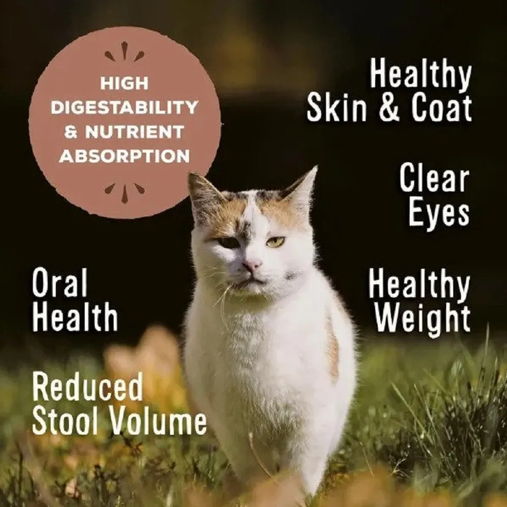 Freeze Dried Beef & Salmon Nuggets Cat Food