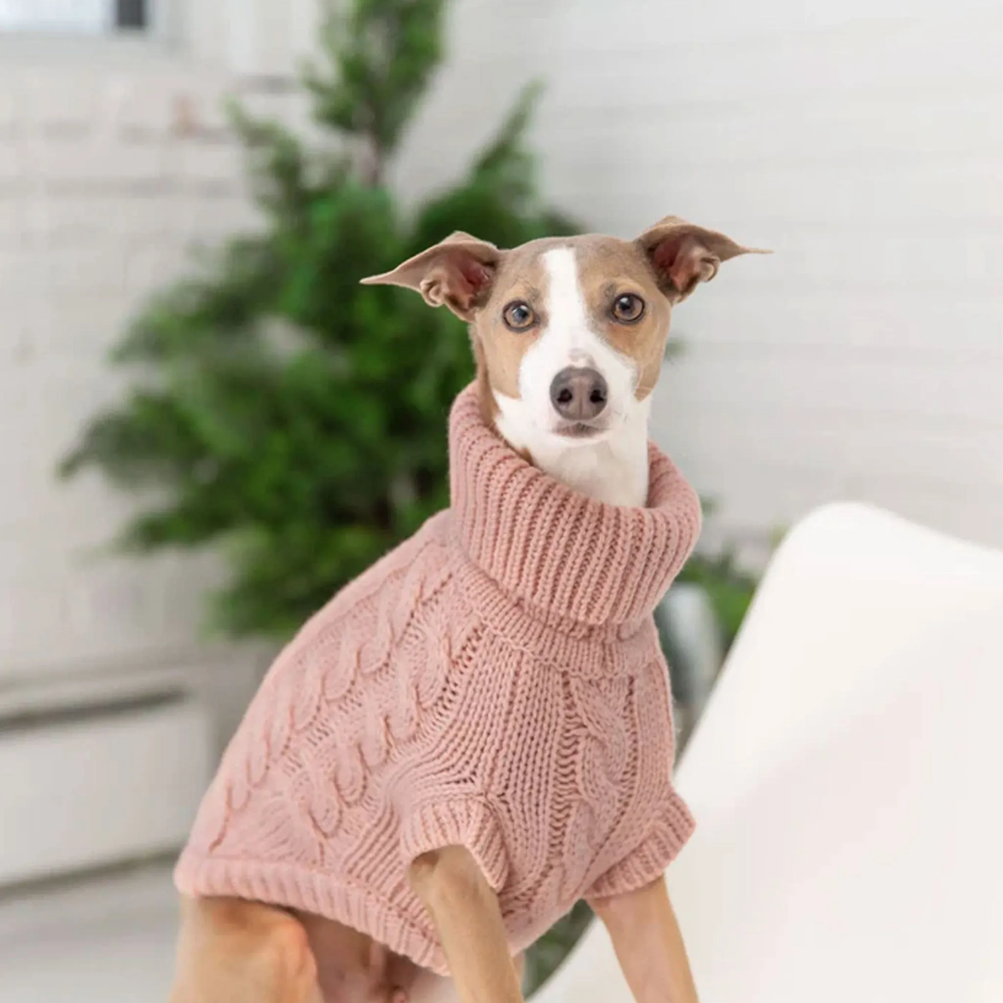 GF Pet Chalet Sweater - Pink