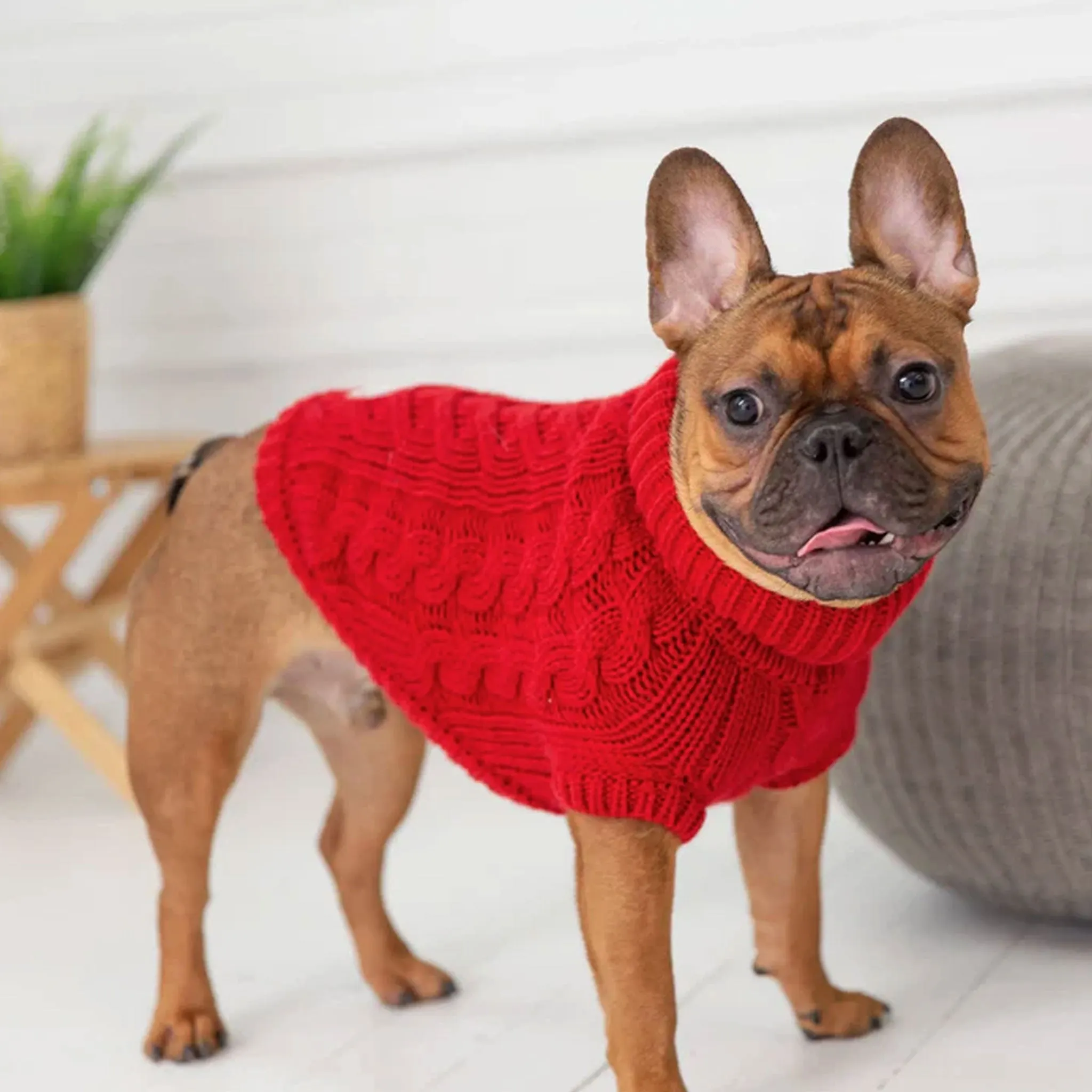 GF Pet Chalet Sweater - Red