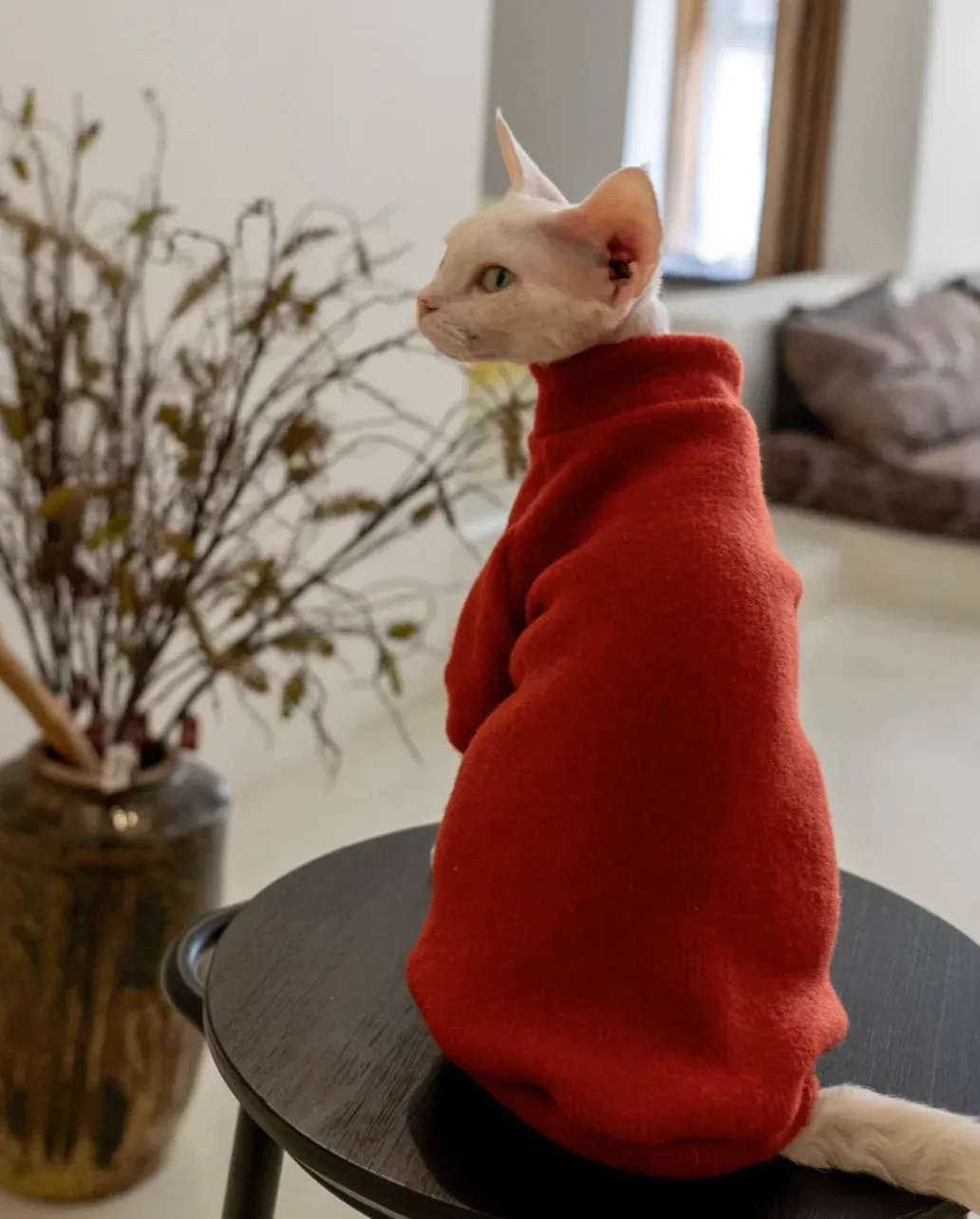 Hairless Cat Warm Sweatershirt - Comfortable Cotton Turtleneck Coat - Stylish Devon Rex Cat Clothes - Keep Your Hairless Cat Cozy with Fashionable Outwear