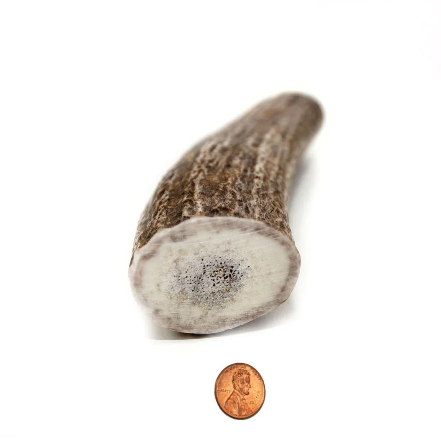 Hard Density Jumbo Whole Antler Chew