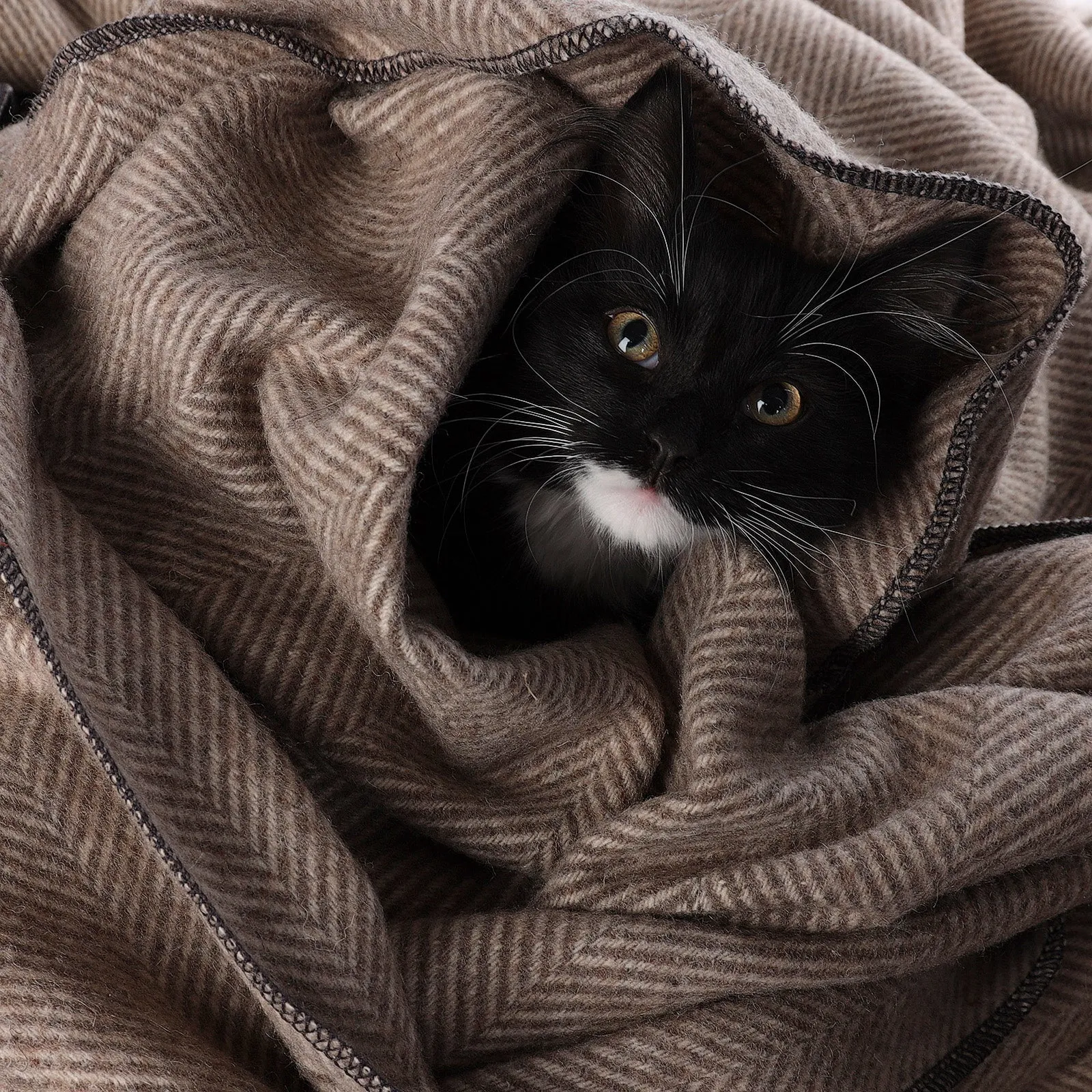 Herringbone Pet Blanket Natural