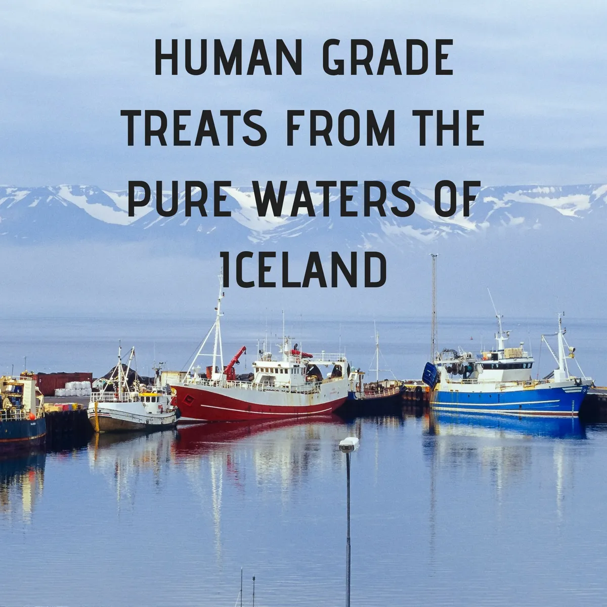 Icelandic Codfish Skin Rolls 6oz