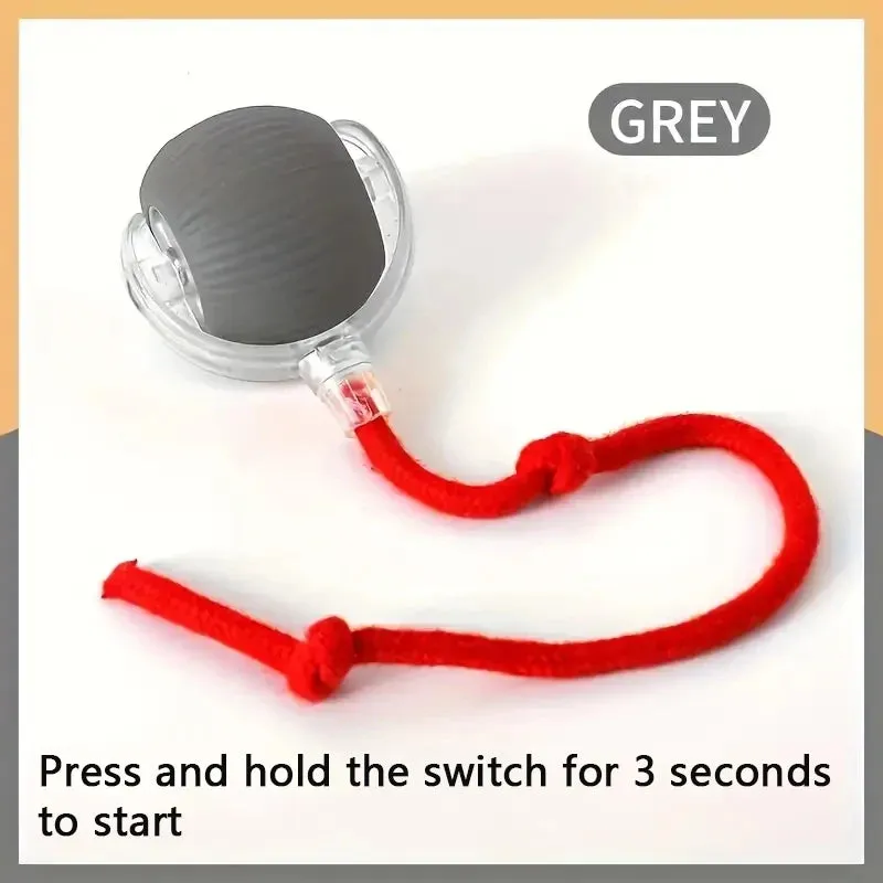 Interactive Moving & Bouncing Ball