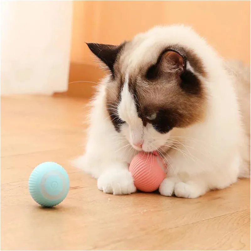 Interactive Moving & Bouncing Ball