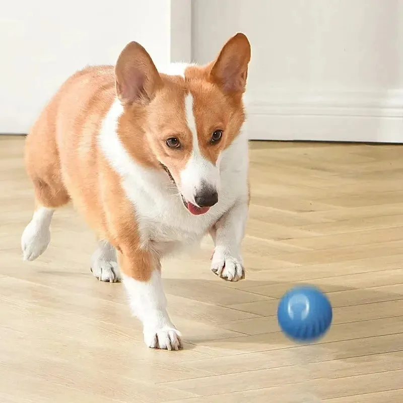 Interactive Moving & Bouncing Ball