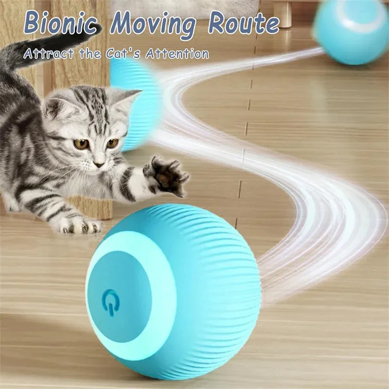 Interactive Moving & Bouncing Ball