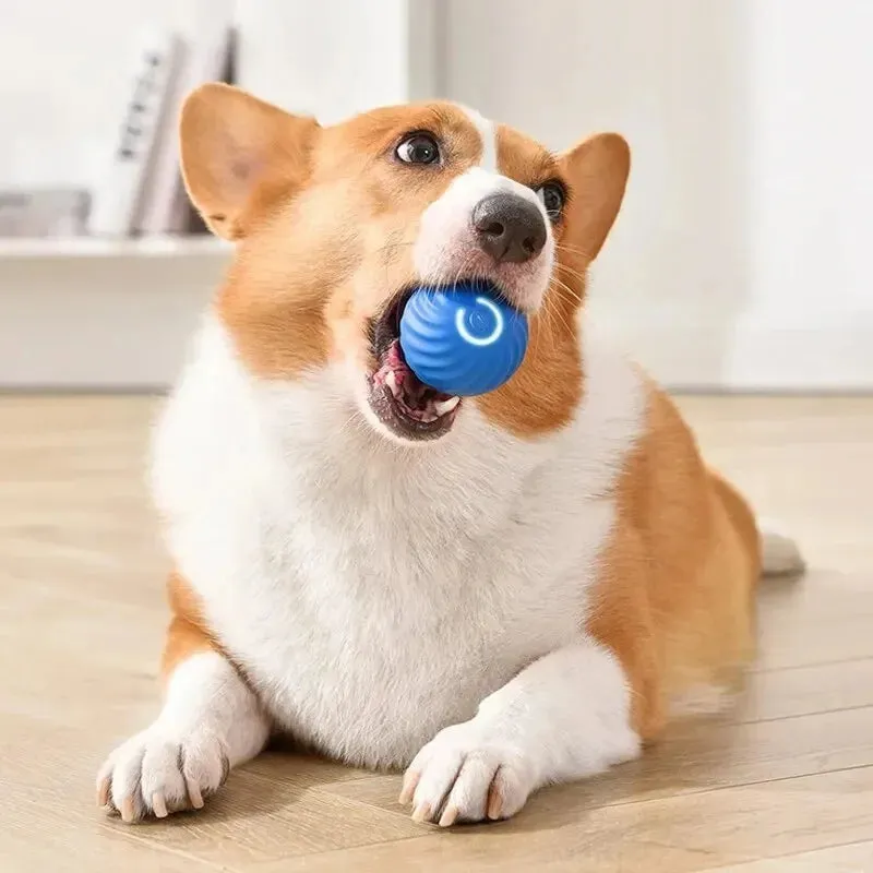 Interactive Moving & Bouncing Ball