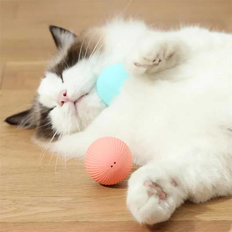 Interactive Moving & Bouncing Ball