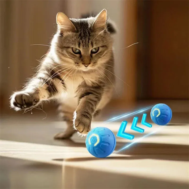 Interactive Moving & Bouncing Ball