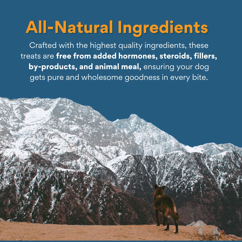 Kanu Pet  Himalayan Cheese Yak PUFF Natural Treat for Dogs
