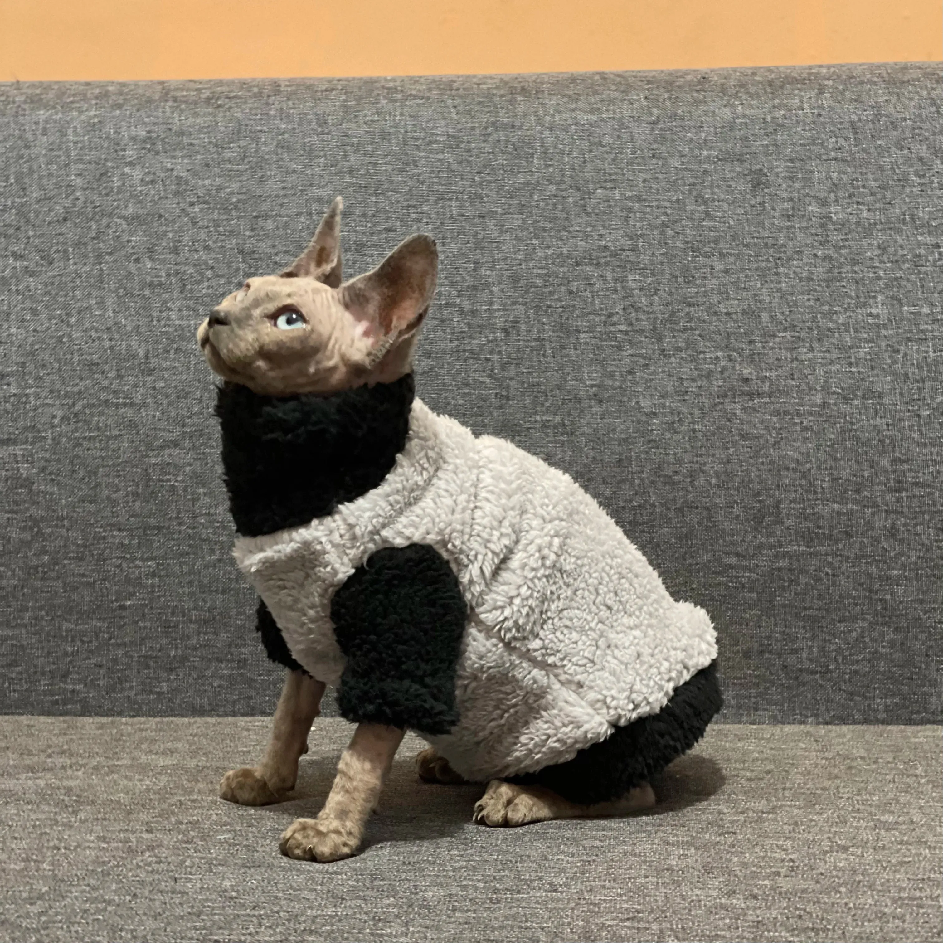 Lamb Wool Coat for Cats | Soft Grey Winter T-Shirt for Sphynx, Devon Rex & Female Kittens | Short & Long Sleeve Loungewear