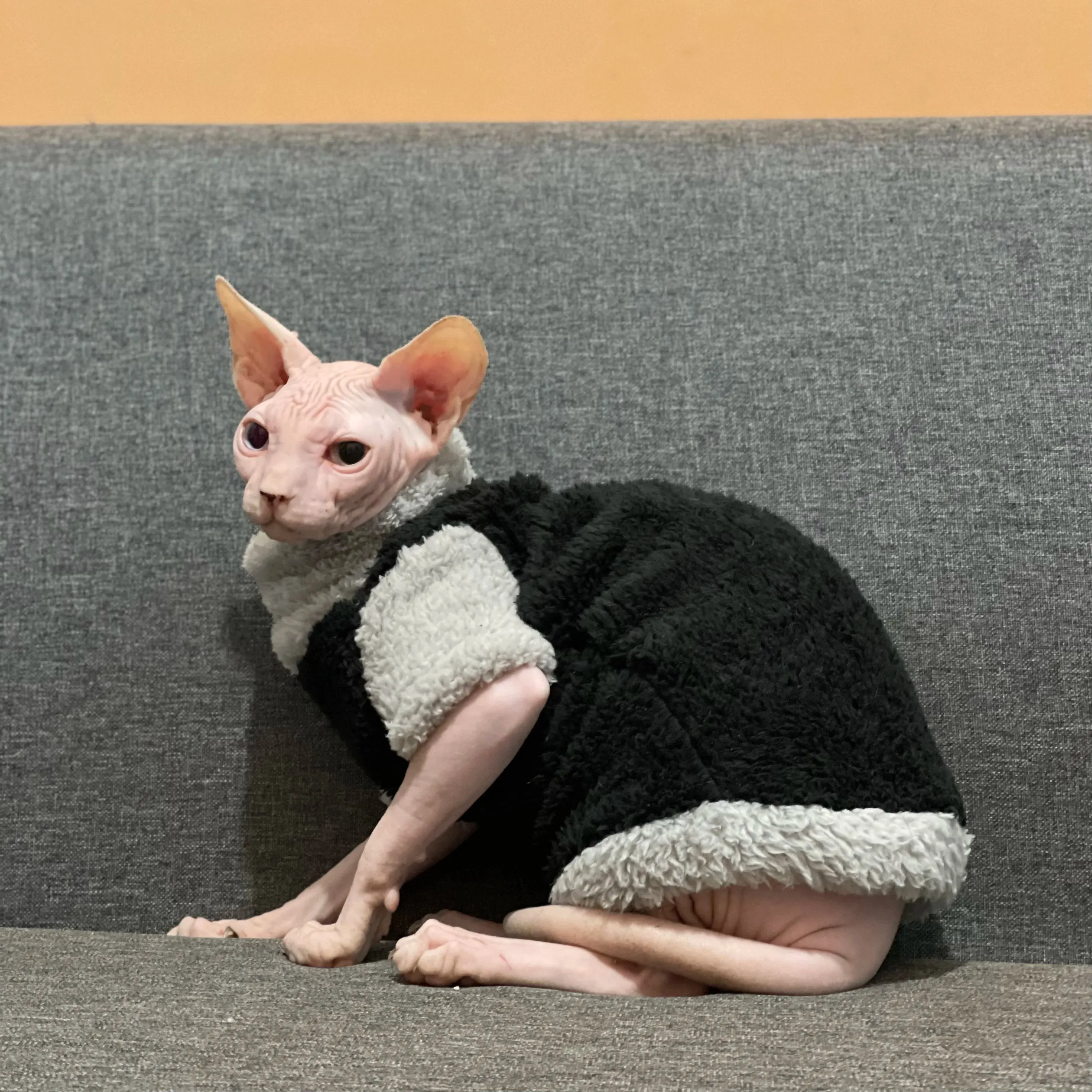 Lamb Wool Coat for Cats | Soft Grey Winter T-Shirt for Sphynx, Devon Rex & Female Kittens | Short & Long Sleeve Loungewear