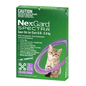 Nexgard Spectra Cat 0.8-2.4kg Small Spot On All in One Flea and Worm Treatment 3 Pack^^^