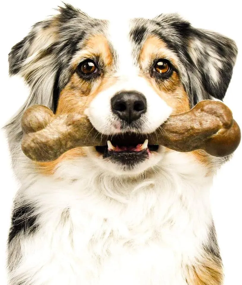 Nylon Dog Bone for Aggressive Chewers