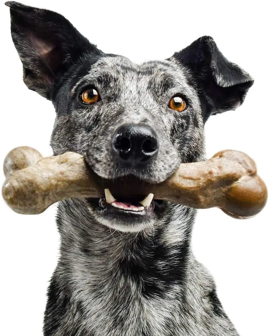 Nylon Dog Bone for Aggressive Chewers