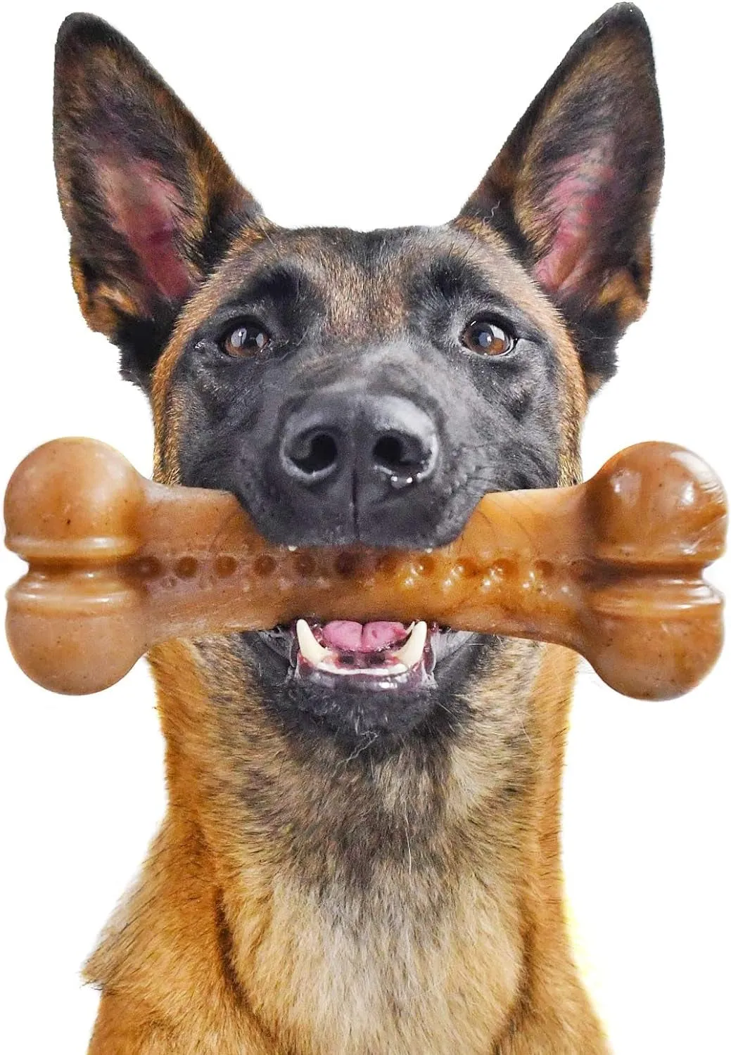 Nylon Dog Bone for Aggressive Chewers