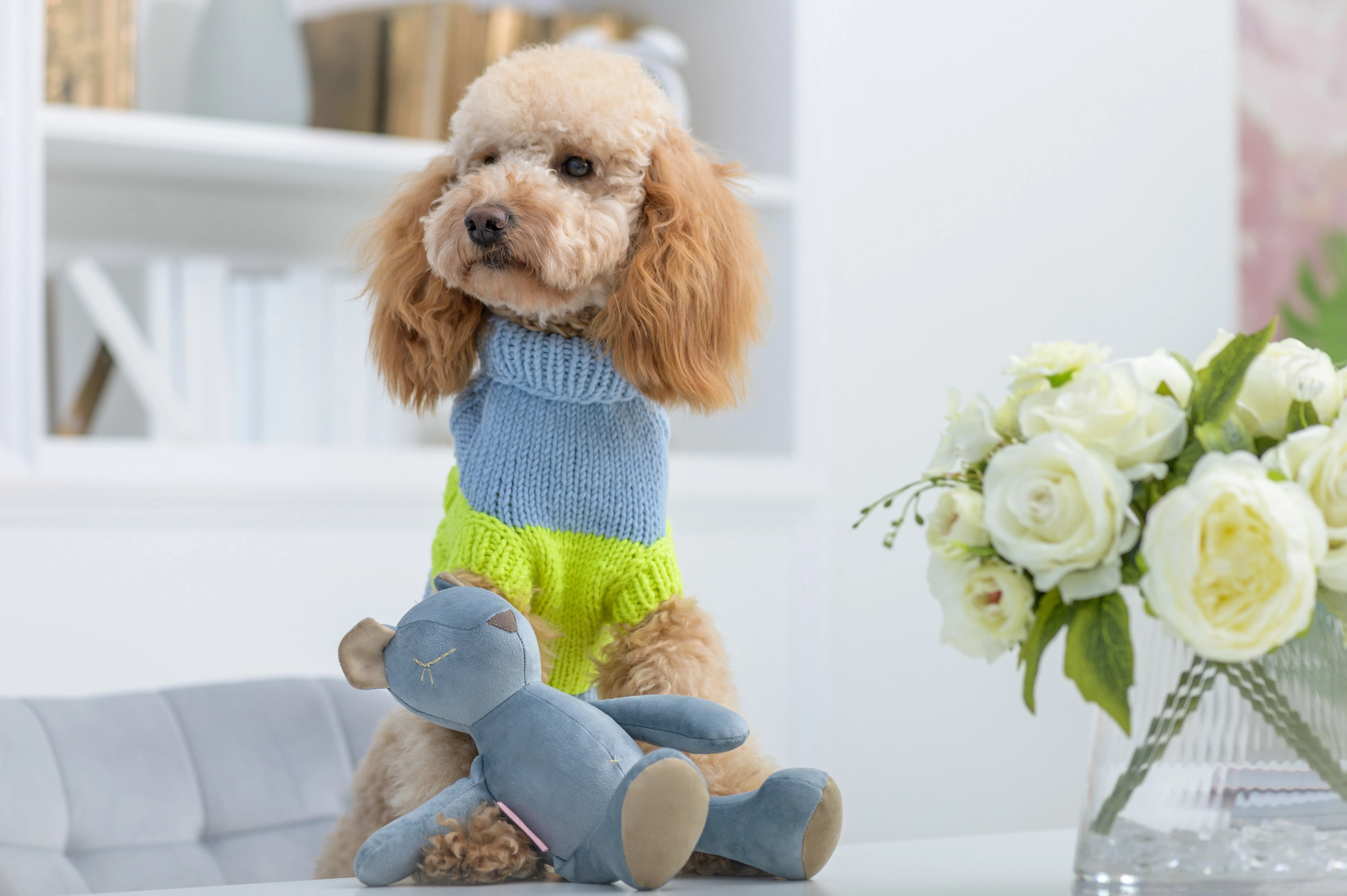 Oh Charlie Dog Sweater NeonRush