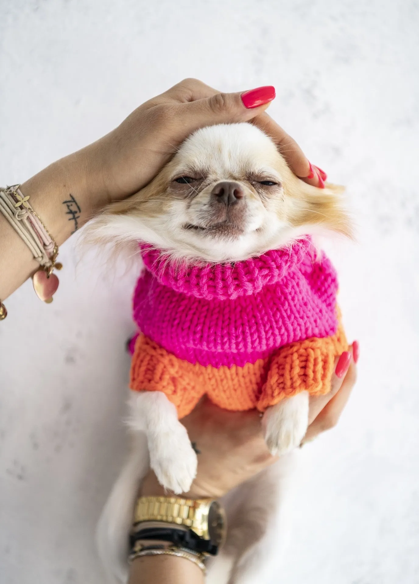 Oh Charlie Dog Sweater NeonRush
