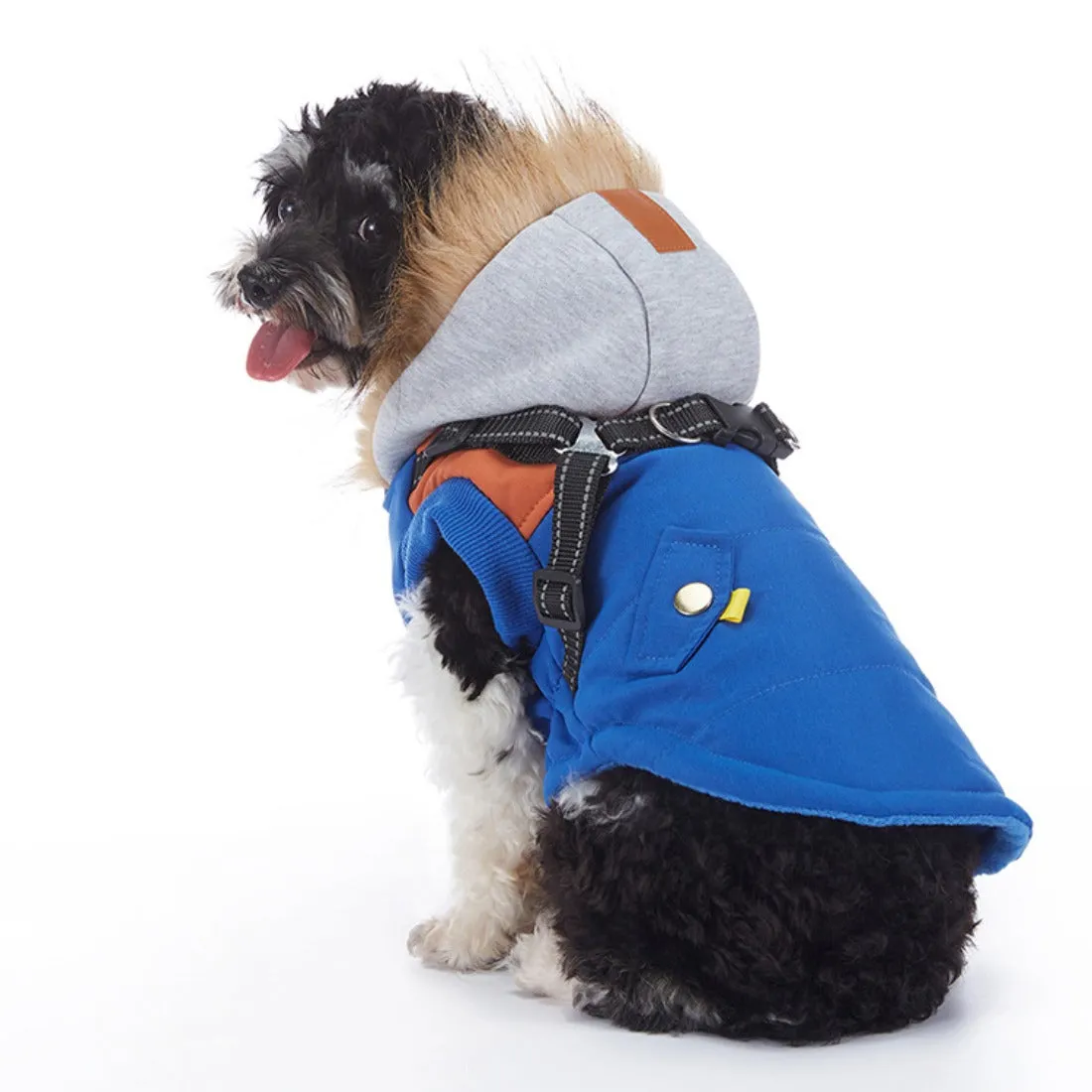 Ozzie - Urban Explorer Dog Hoodie Jacket