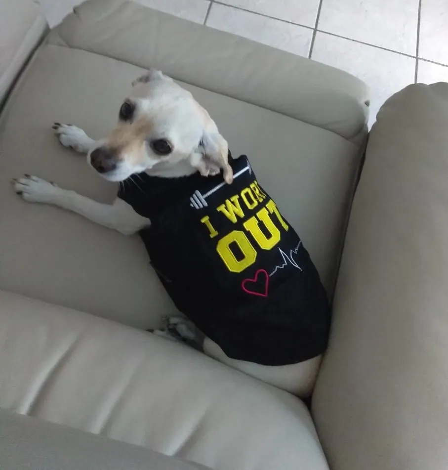 Parisian Pet I Work Out Embroidered Tshirt