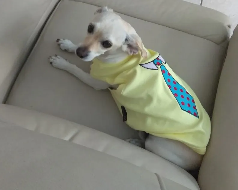 Parisian Pet I Work Out Embroidered Tshirt