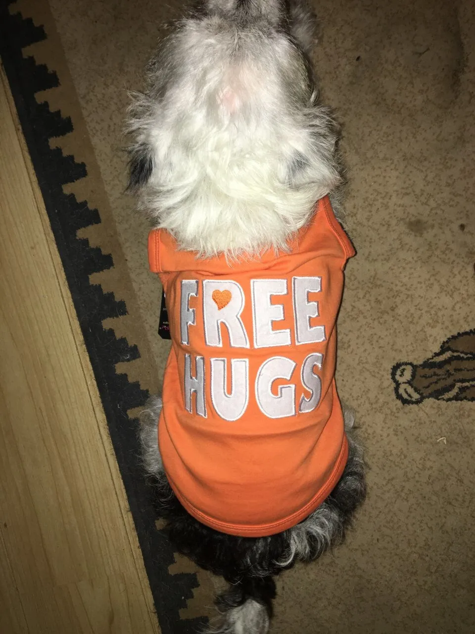 Parisian Pet I Work Out Embroidered Tshirt