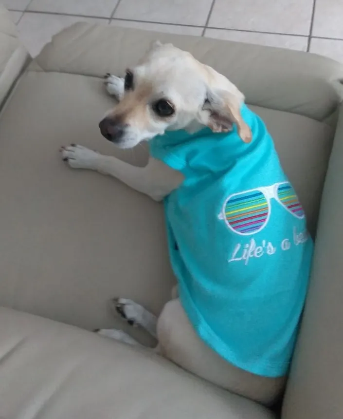 Parisian Pet I Work Out Embroidered Tshirt