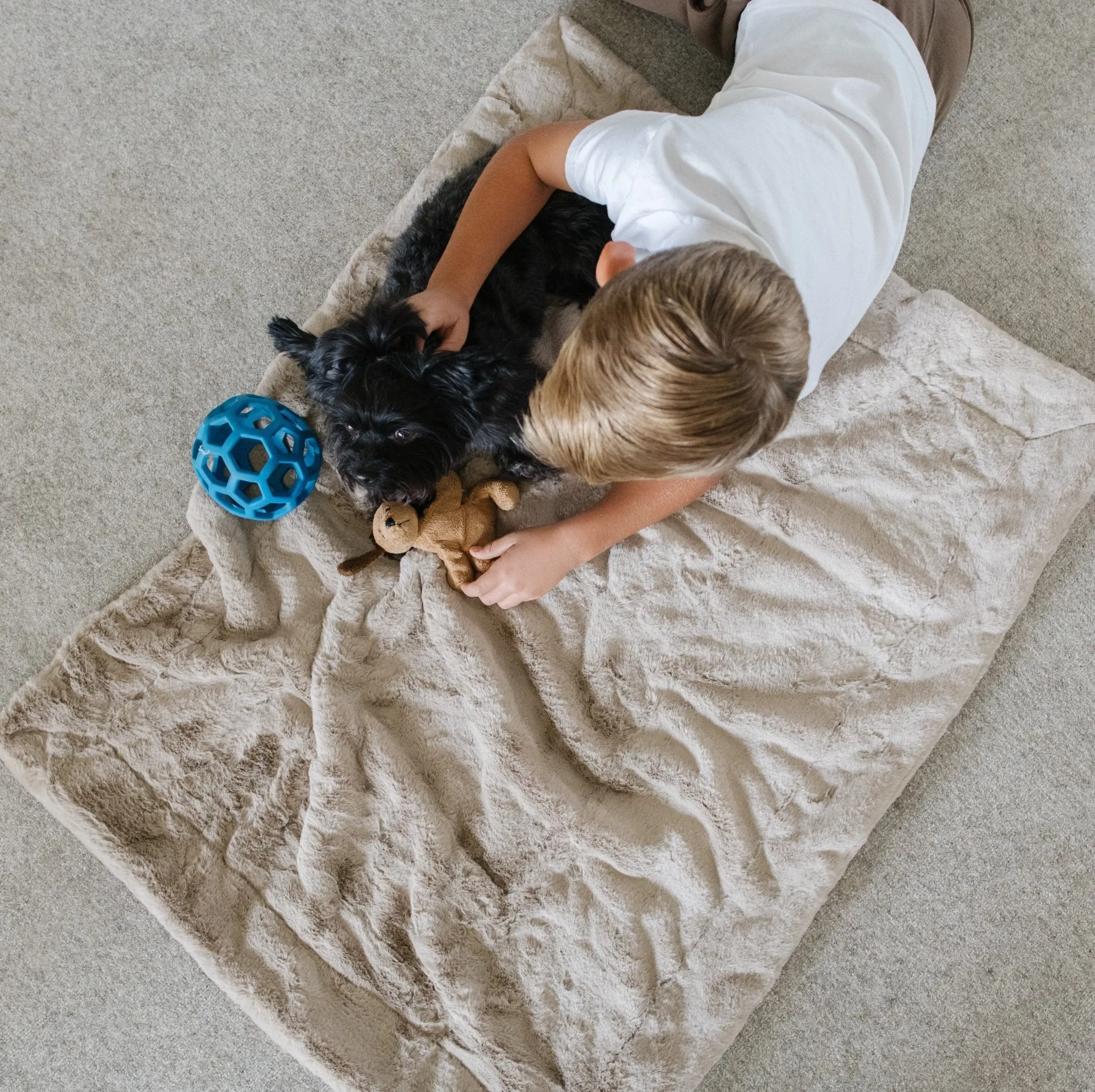 PET BLANKET