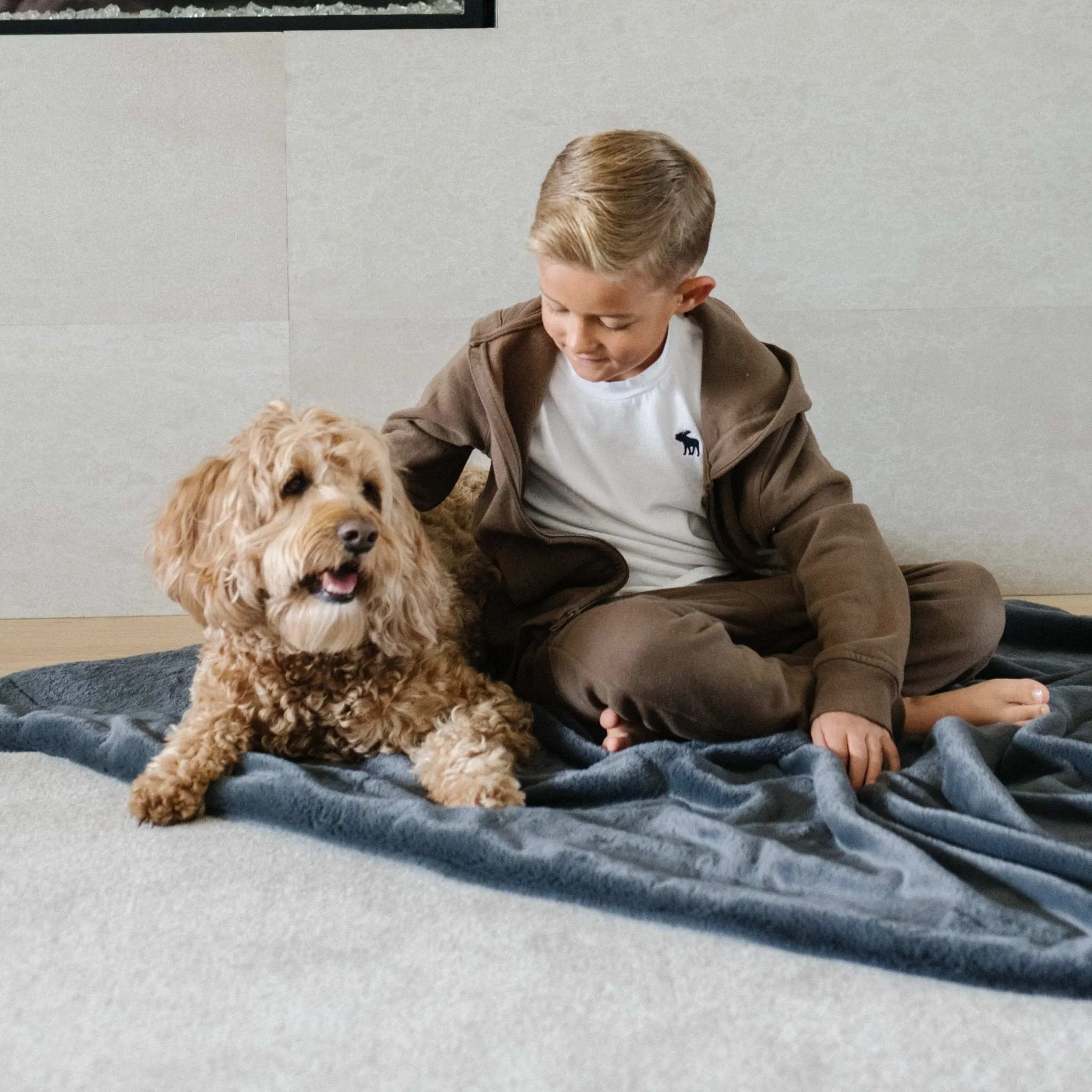PET BLANKET