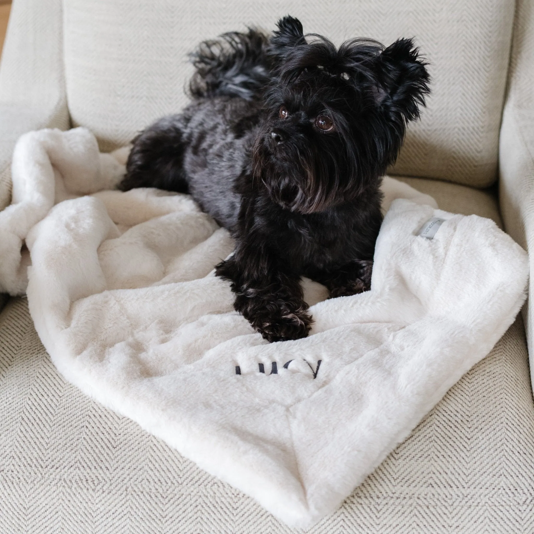 PET BLANKET