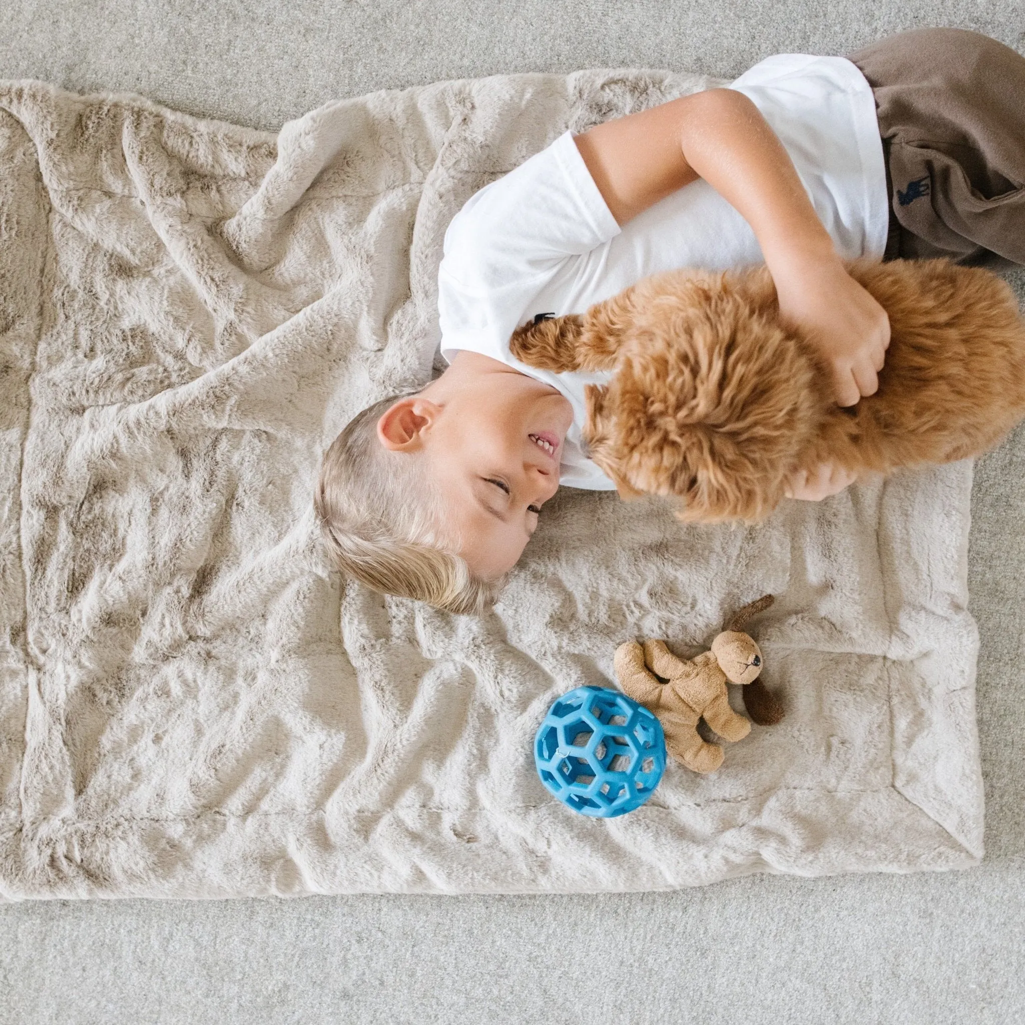 PET BLANKET